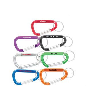 Metal Carabiner Keyring 2.75"