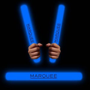 16" Flashing LED  Foam Sticks